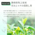 蘋果薄荷 x 綠茶茶包 2.5g x 35p